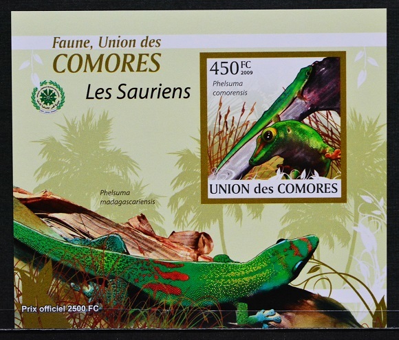 「TD207」コモロ諸島切手 2009年 オオヒルヤモリの画像1