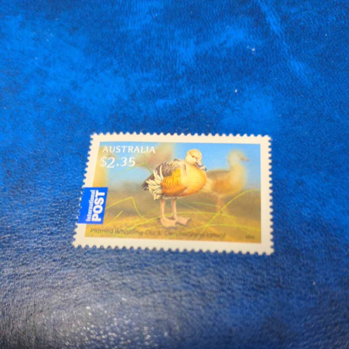 オーストラリア切手　鳥　2.35ドル　　1種　切手未使用　2012年　額面割れ_画像1