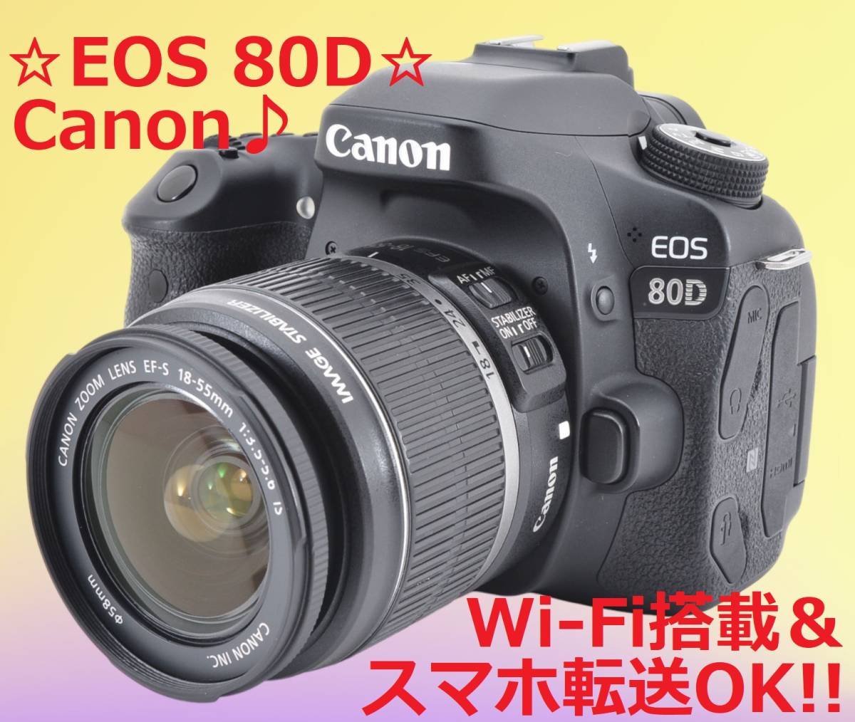 ショット数9061回!! Canon キャノン EOS 80D #5865