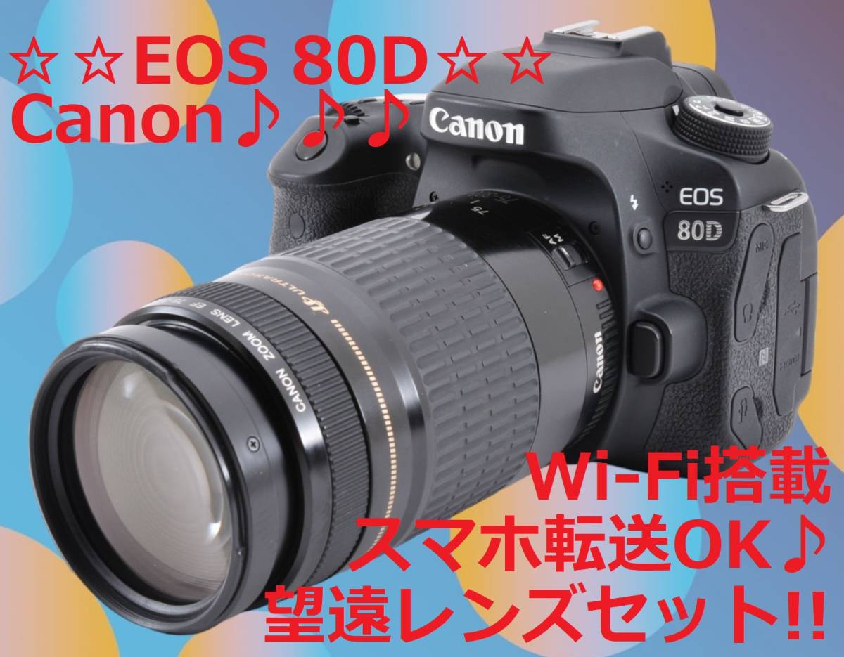 適当な価格 ☆望遠レンズセット!!☆ Canon キャノン EOS 80D #6112