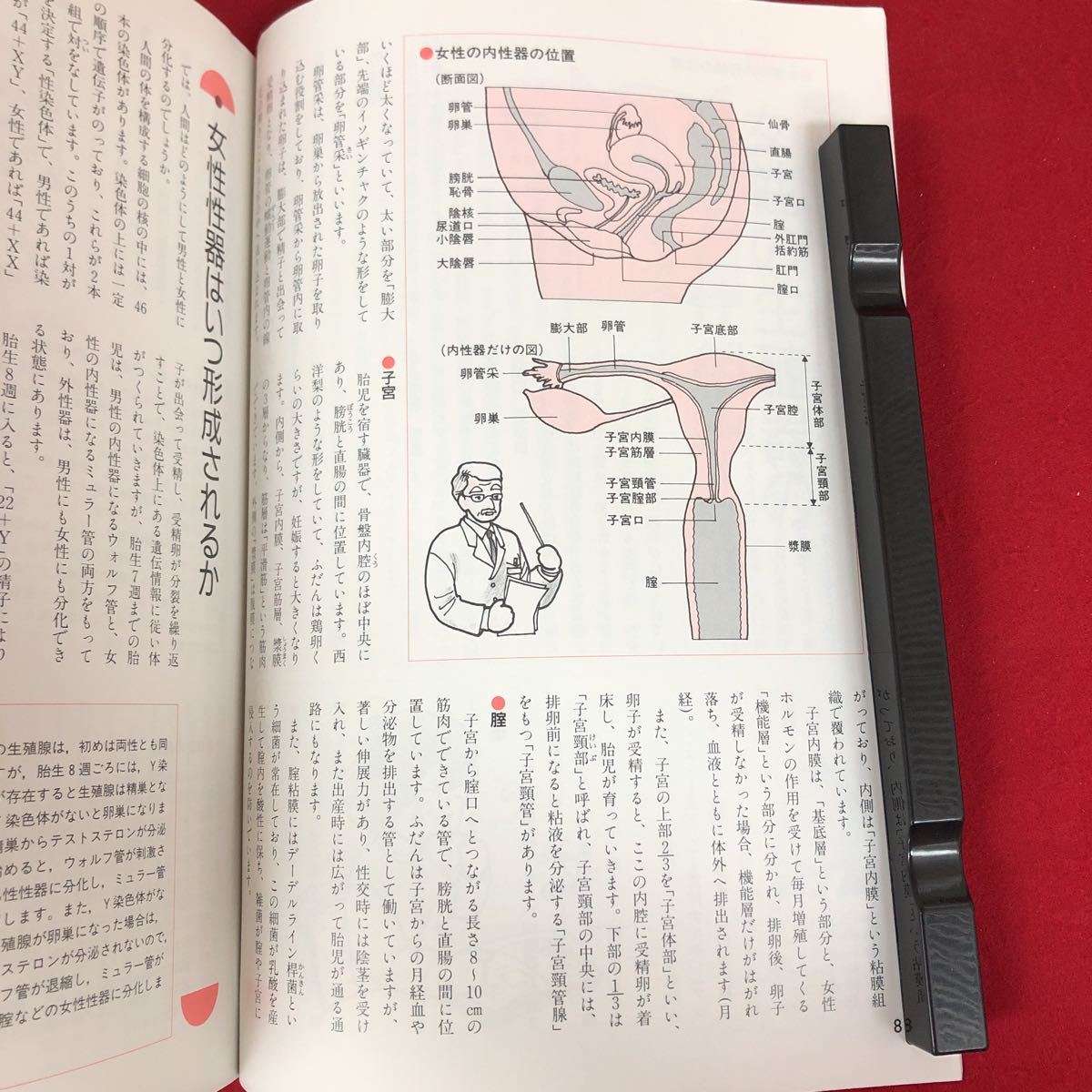g-014 ※9 これだけは知っておきたい 子宮筋腫・子宮内膜症・月経異常 別冊 NHKきょうの健康 1997年12月15日 発行 日本放送出版 健康 女性_画像6