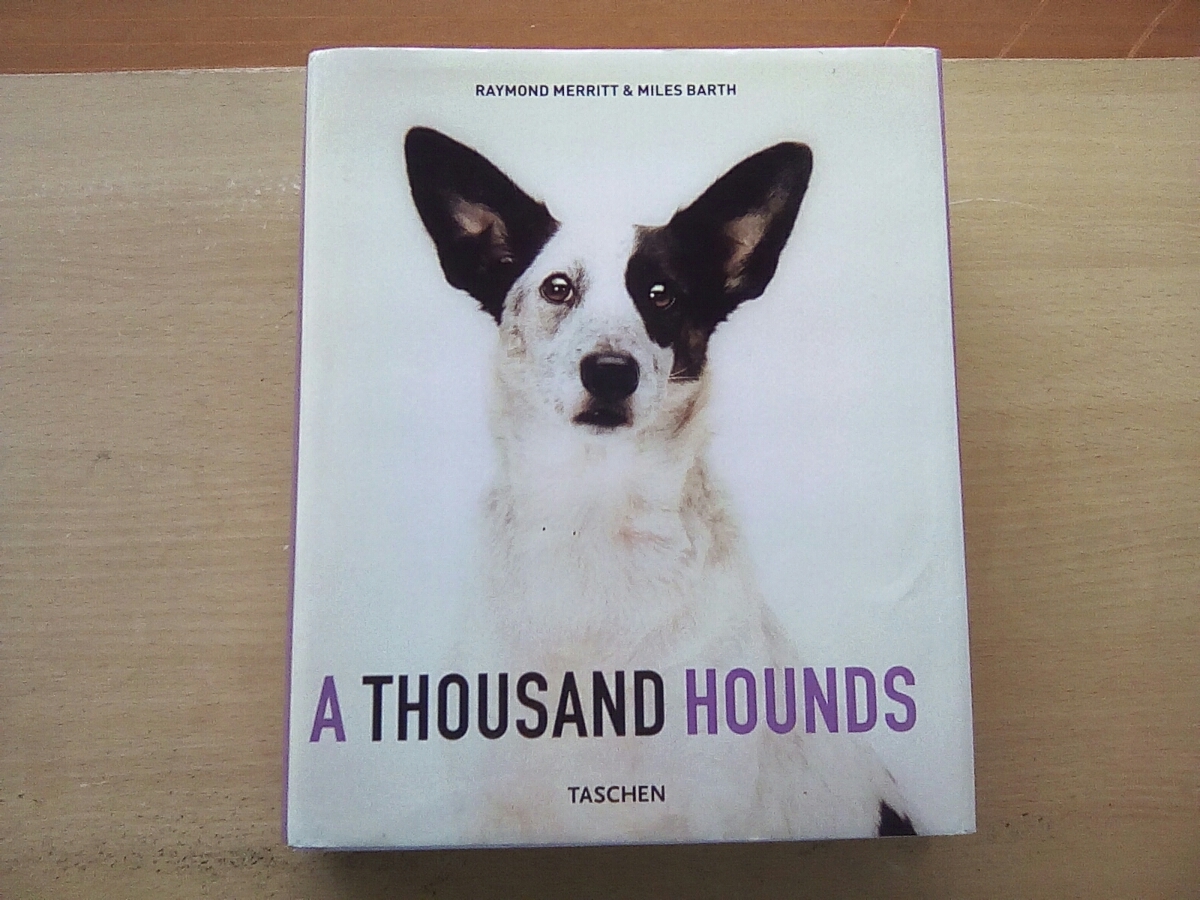 ヤフオク 即決 洋書 犬の写真集 600ページ A Thousand Hou