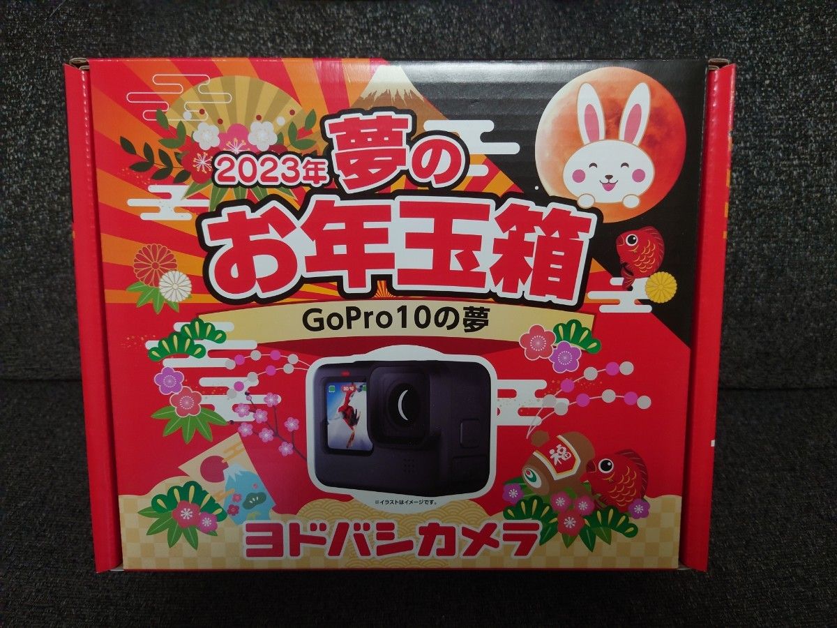 【GoPro10の夢】GoPro HERO 10 Black CHDHX-101-FW　オプション品多数 福袋 Go Pro 10