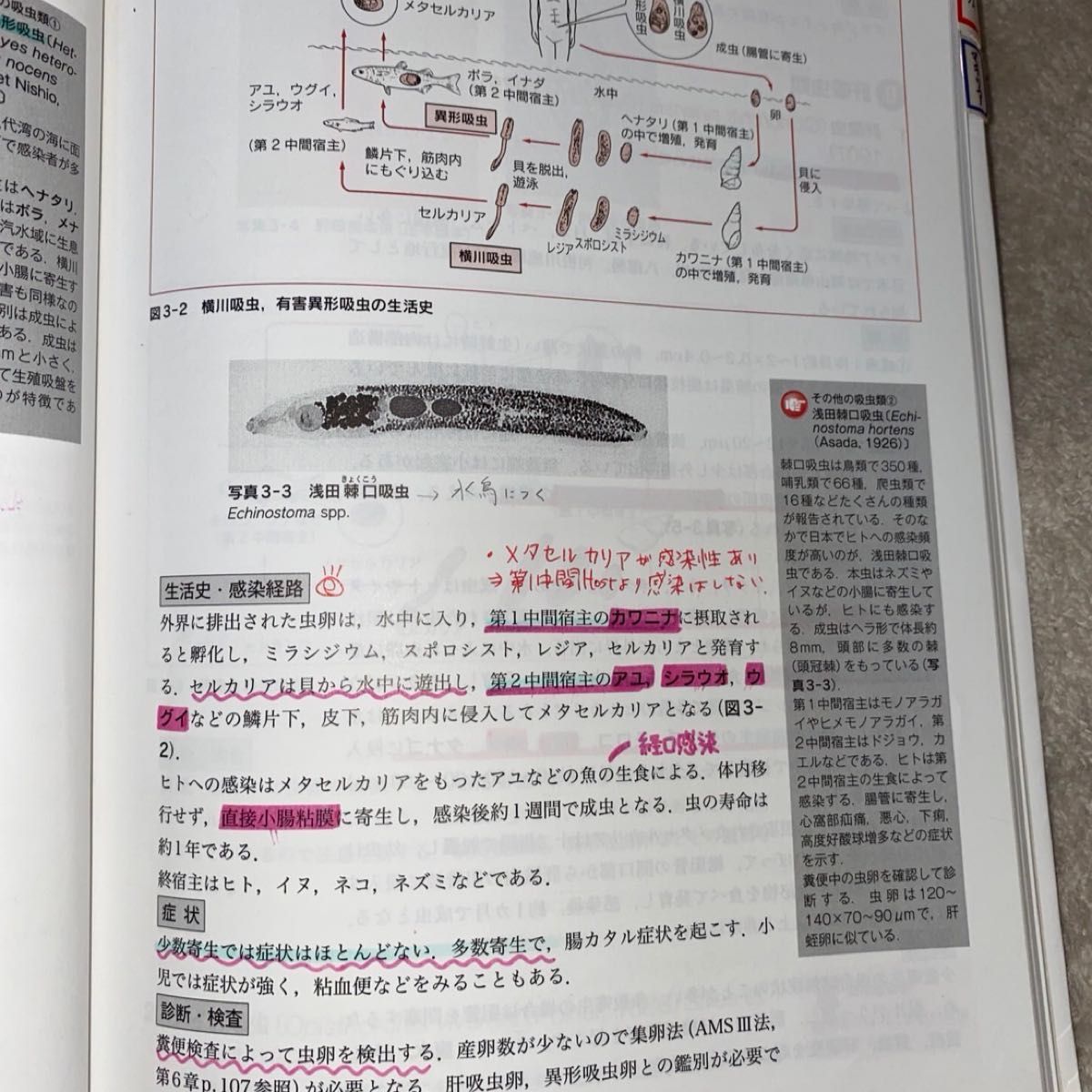 最新臨床検査学講座　医動物学