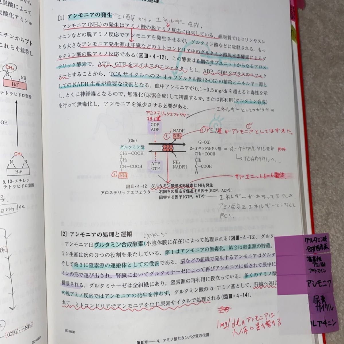 最新臨床検査学講座　生化学