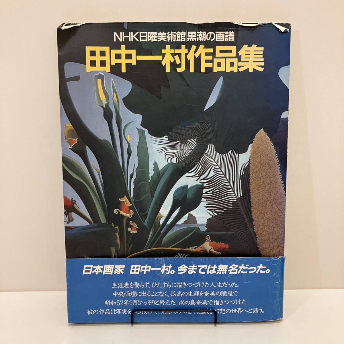 230910 NHK日曜美術館「黒潮の画譜」田中一村作品集★昭和60年第4刷 日曜放送出版会★昭和レトロ当時物古書画集美術図録_画像1