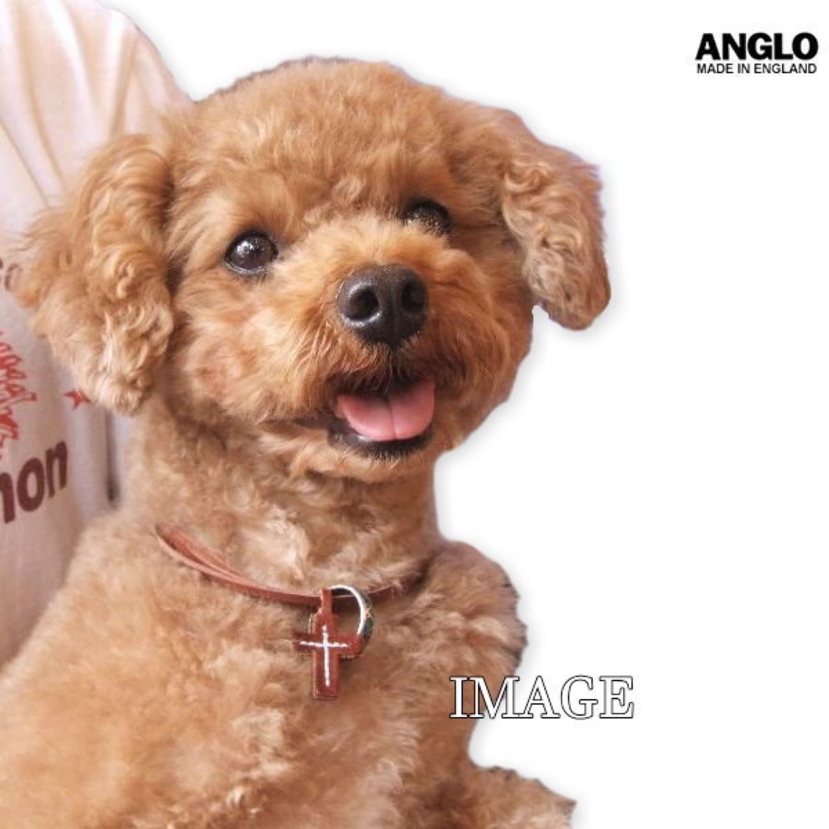 セール 新品 ビームス扱い ANGLO UK製 アングロレザー代理店別注 本革レザークロスネックレス クリーム 愛犬とお揃い