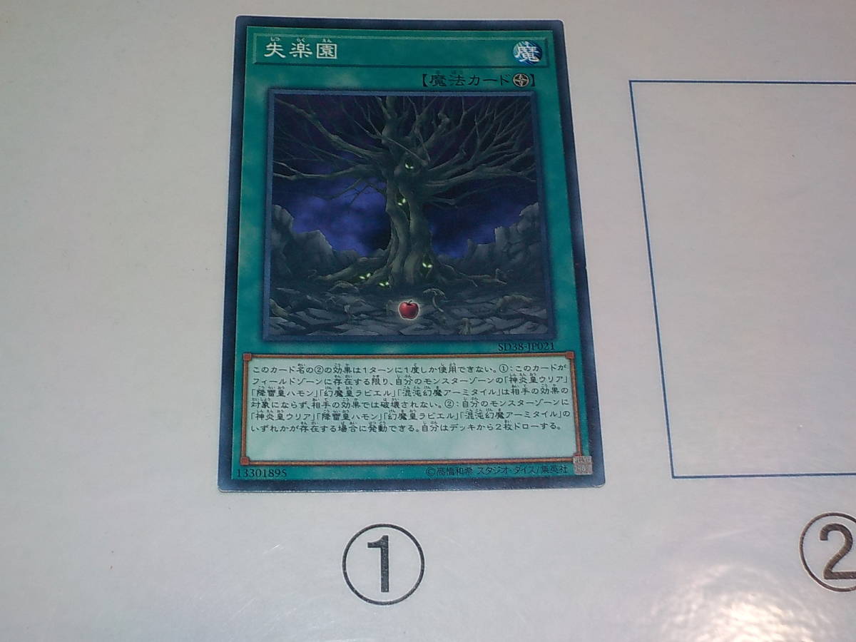 遊戯王　SD38　失楽園　ノーマル　中古です。_画像1