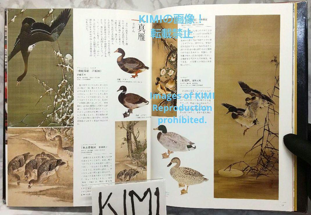江戸の美しい生物画集成 単行本 2020/5/26 狩野博幸 (監修) A Collection of Beautiful Biological Paintings from Edo 2020 Hiroyuki Kano_画像5
