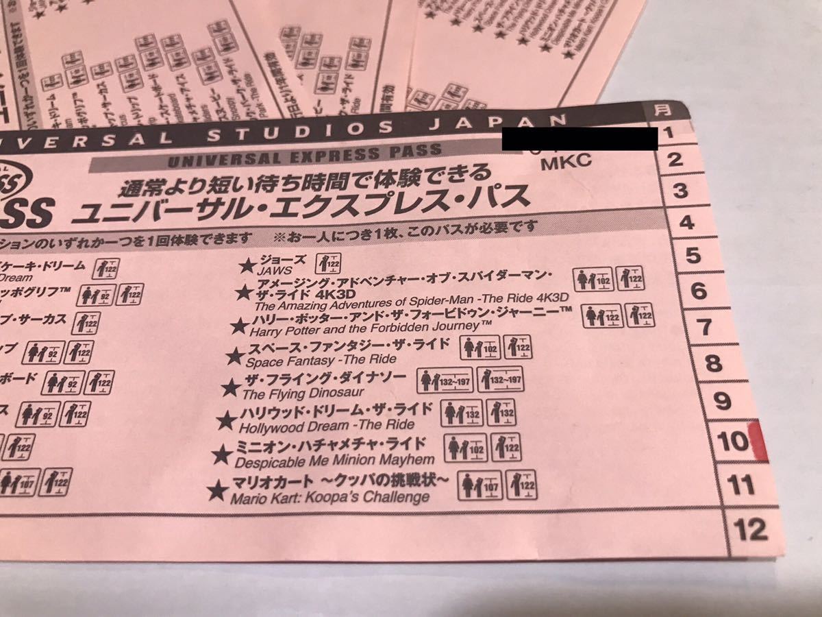 在庫1枚【日時指定無し】マリオカート 任天堂エリア　USJ エクスプレスパス チケット ユニバーサルスタジオジャパン エキスプレス _画像3