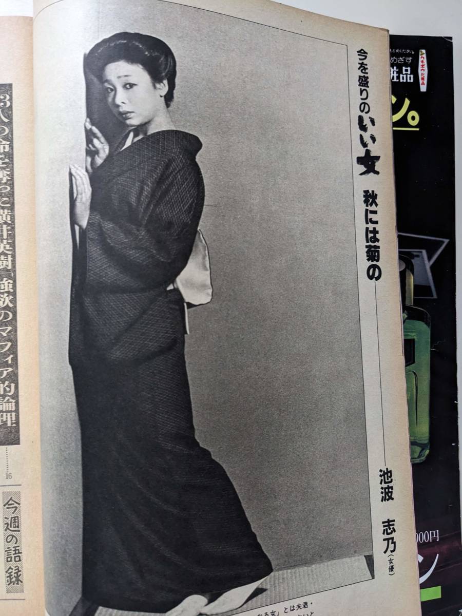 週刊朝日1982年12月3日号　美保純　池波志乃　江本孟紀　大山康晴インタビュー　黒柳徹子の母親_画像4