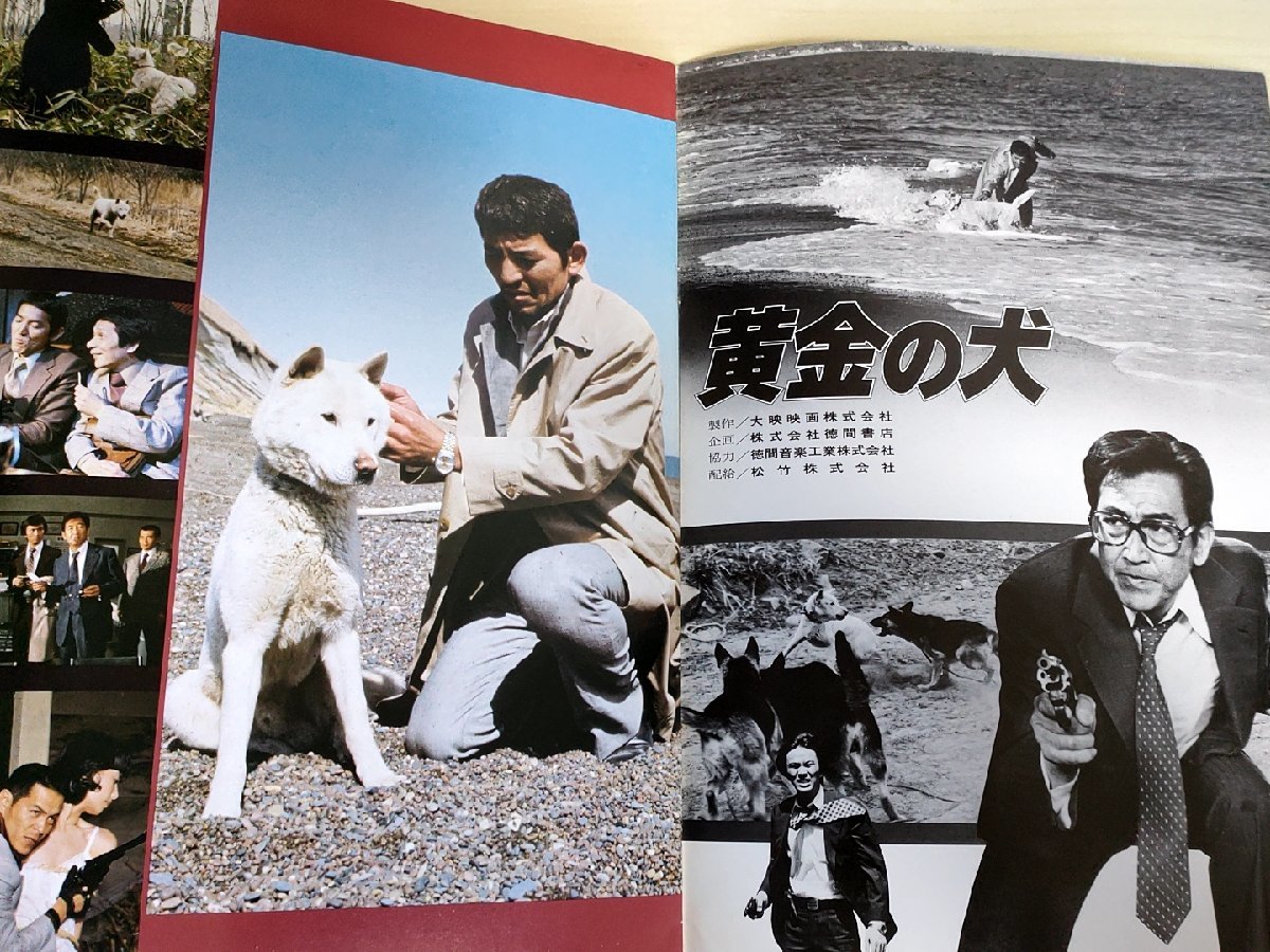 黄金の犬 山根成之監督作品/鶴田浩二/島田陽子/地井武男/宮下順子/池玲子/藤巻潤/坂東正之助/待田京介/誠直也/映画パンフレット/B3223238_画像2