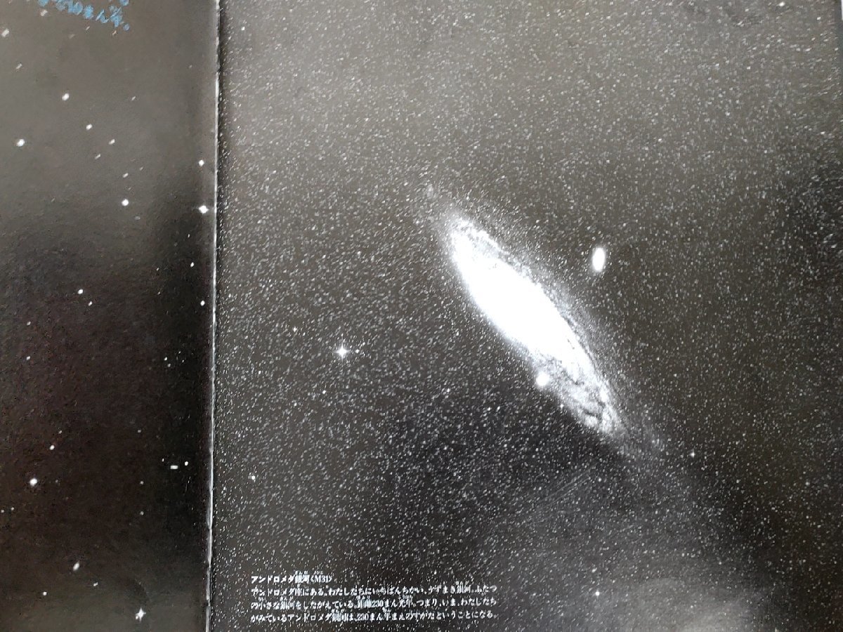 ずかんライブラリー 福音館 全巻12冊セット揃い/宇宙のアルバム/鳥のなき声ずかん/おいしい野草/日本の家/知育/学習/絵本/児童書/Z326528_画像4