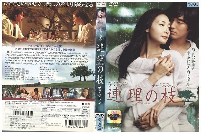 DVD 連理の枝 チェ・ジウ レンタル落ち Z3I01269_画像1