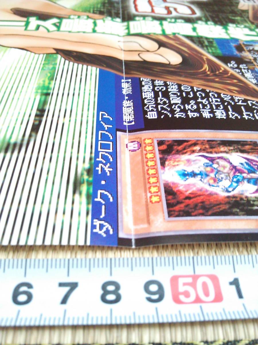 10577円 市場 CUSTOM ORDER MAID 3D2 販促非売品ポスター