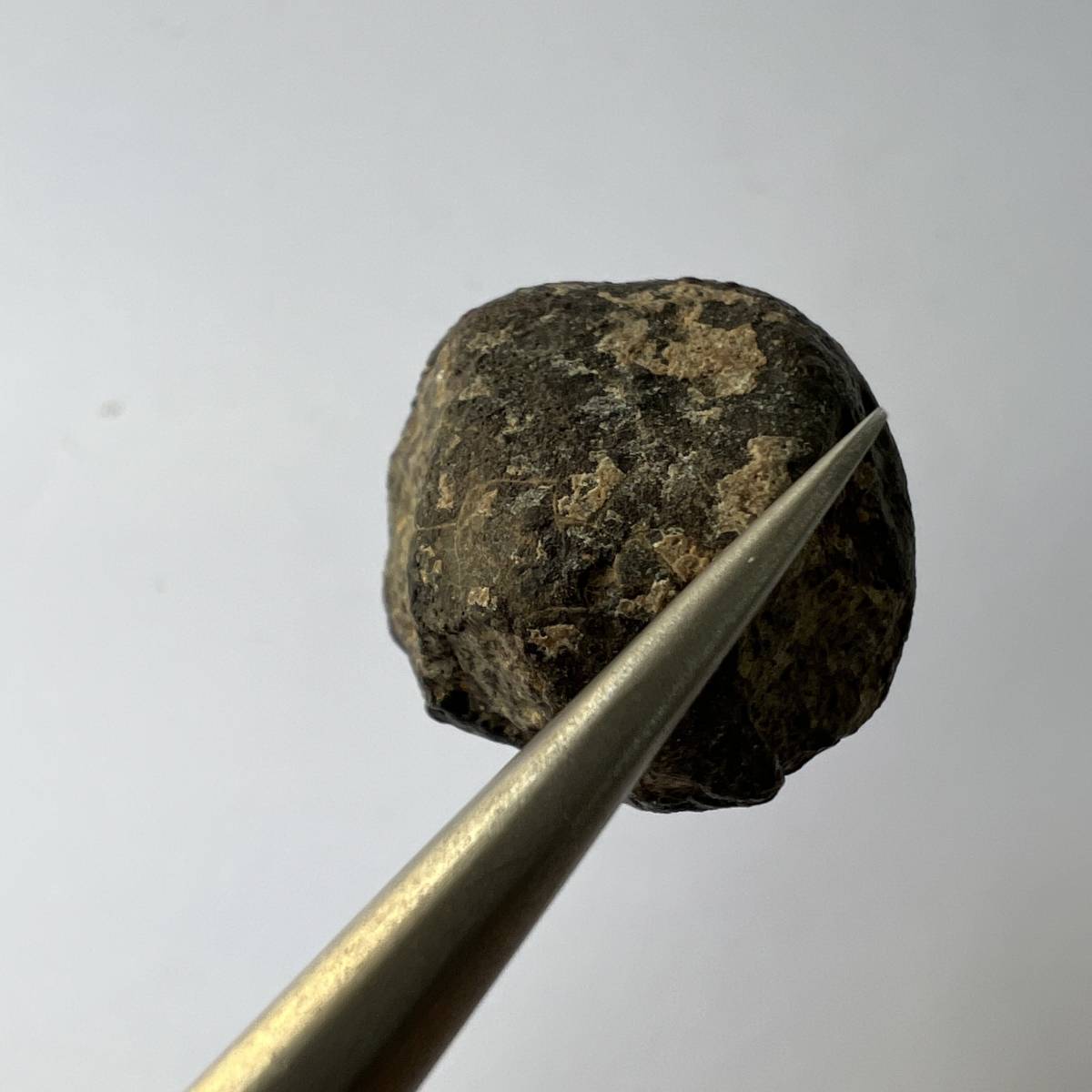 【E22164】 石質隕石 普通コンドライト 隕石 Condrite NWA869 メテオライト 天然石 パワーストーン_画像6