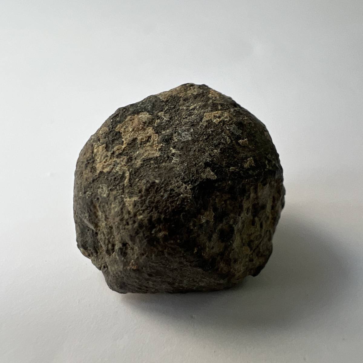 【E22164】 石質隕石 普通コンドライト 隕石 Condrite NWA869 メテオライト 天然石 パワーストーン_画像10