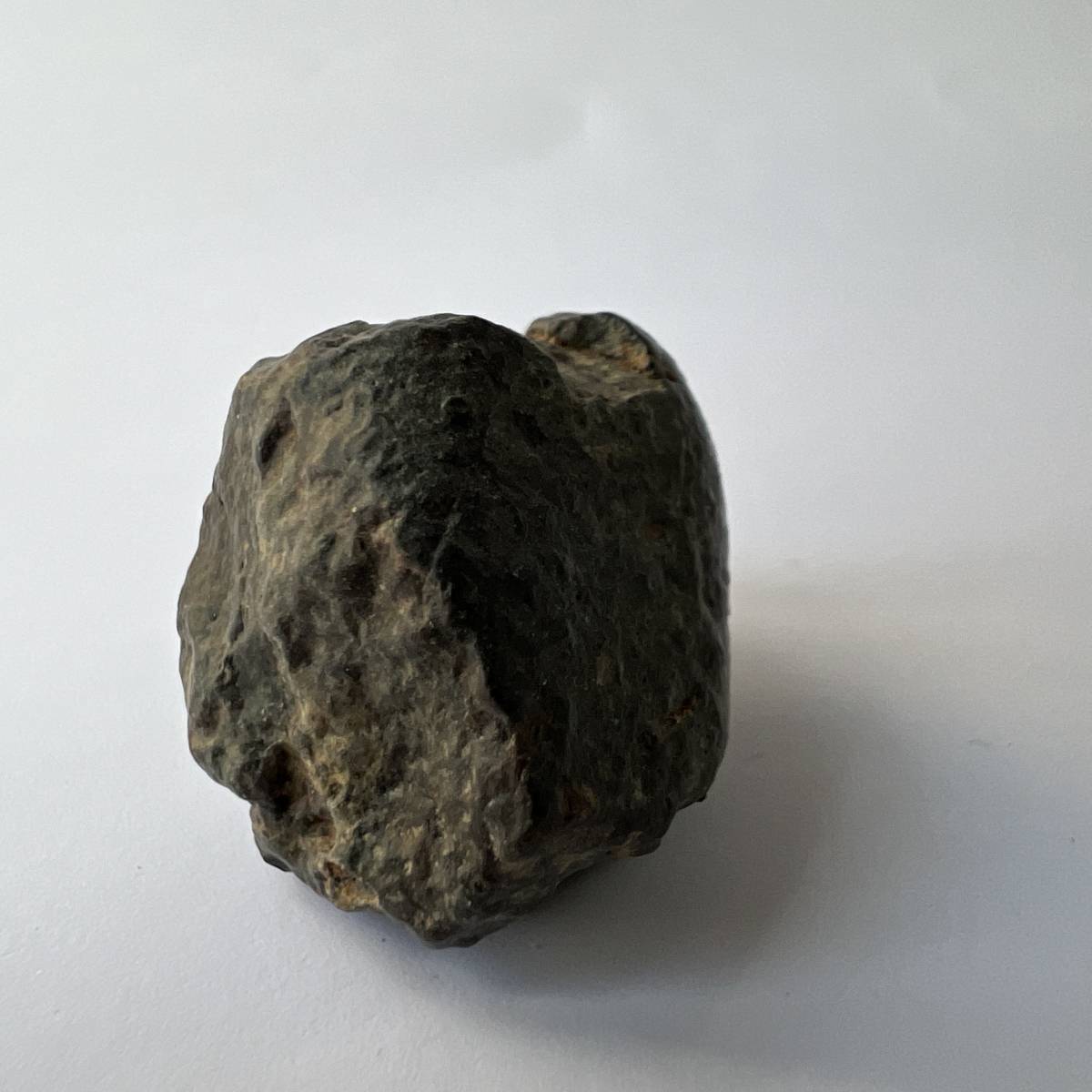 【E22163】 石質隕石 普通コンドライト 隕石 Condrite NWA869 メテオライト 天然石 パワーストーン