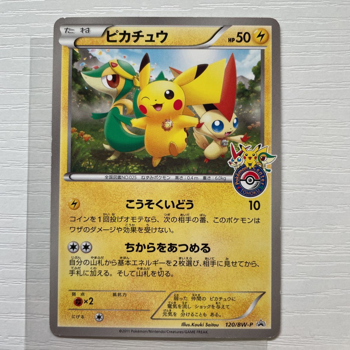 最も優遇 ポケモンカードゲーム ピカチュウ 120/BW-P プロモ PROMO