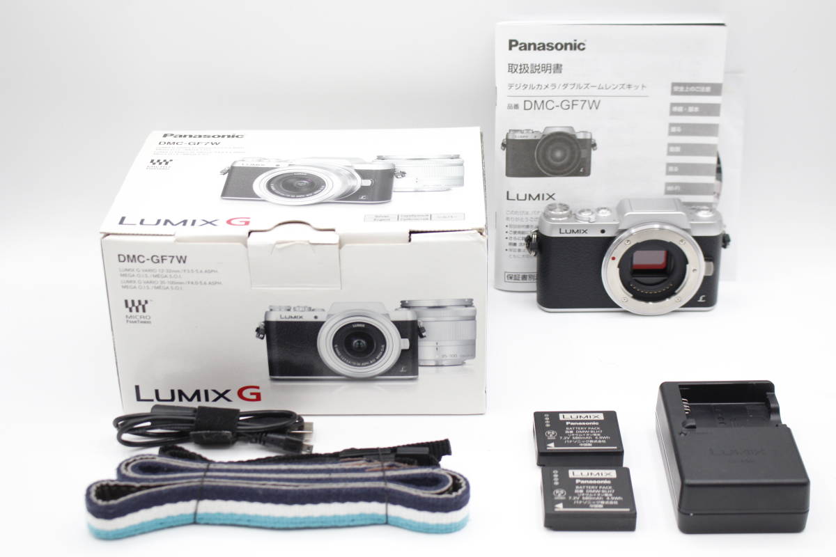 手数料安い 美品◇Panasonic パナソニック ボディ◇バッテリー2個付
