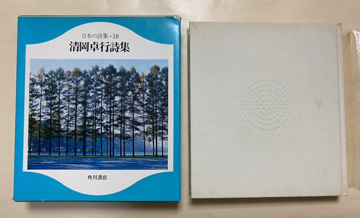 清岡卓行 詩集 角川書店 1972年 宮川淳 解説 斉藤義重 カットの画像1