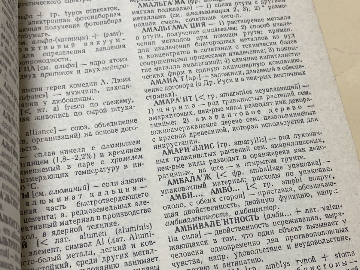  russian borrowed word dictionary so vi eto era long side 26.5 centimeter 1980 year Moscow 620 page 