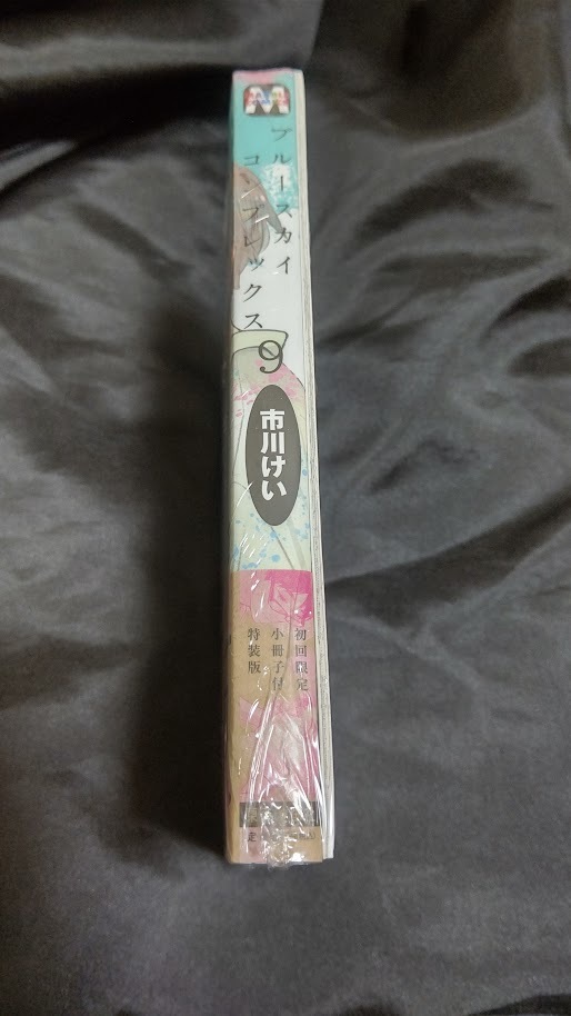 市川けい ブルースカイコンプレックス 9 巻 初回限定 小冊子付き 特装