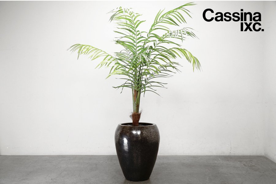 kag765-2 展示極美品 Cassina ixc.(カッシーナ イクスシー) アーティフィシャルグリーン アレカヤシ 特大 人工観葉植物 15万「引取限定」