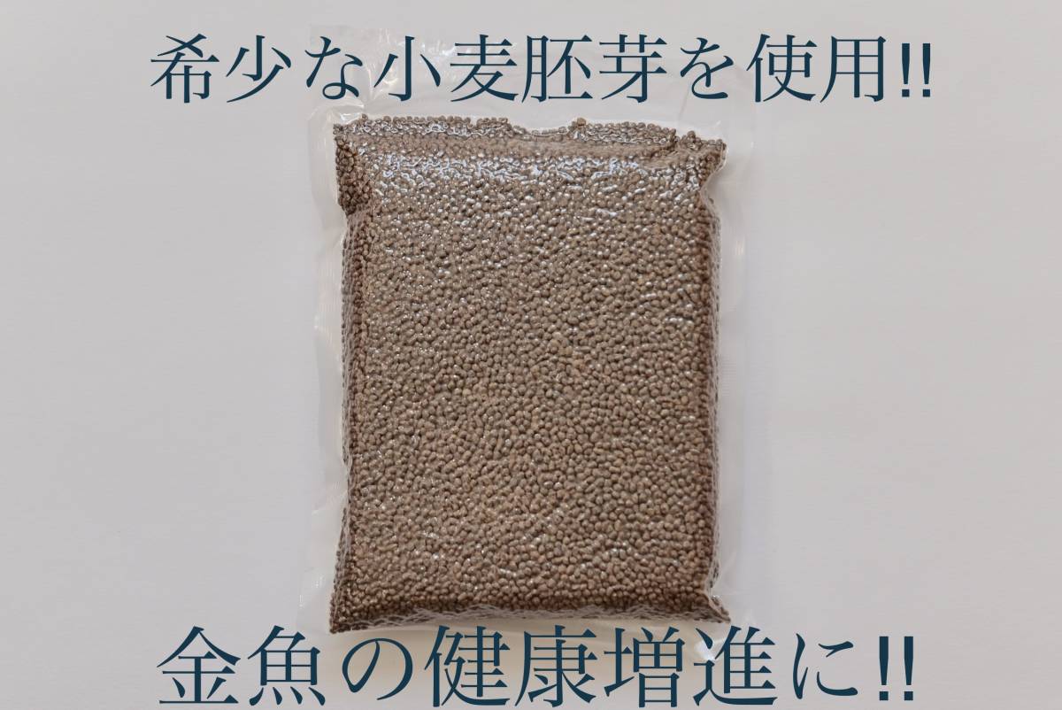 健康増進の金魚のエサ　真空パックミシロ彩金魚胚芽育成用SS　沈下性　250ｇ　らんちゅう・土佐金・オランダ・東錦にも最適な金魚の餌_画像1