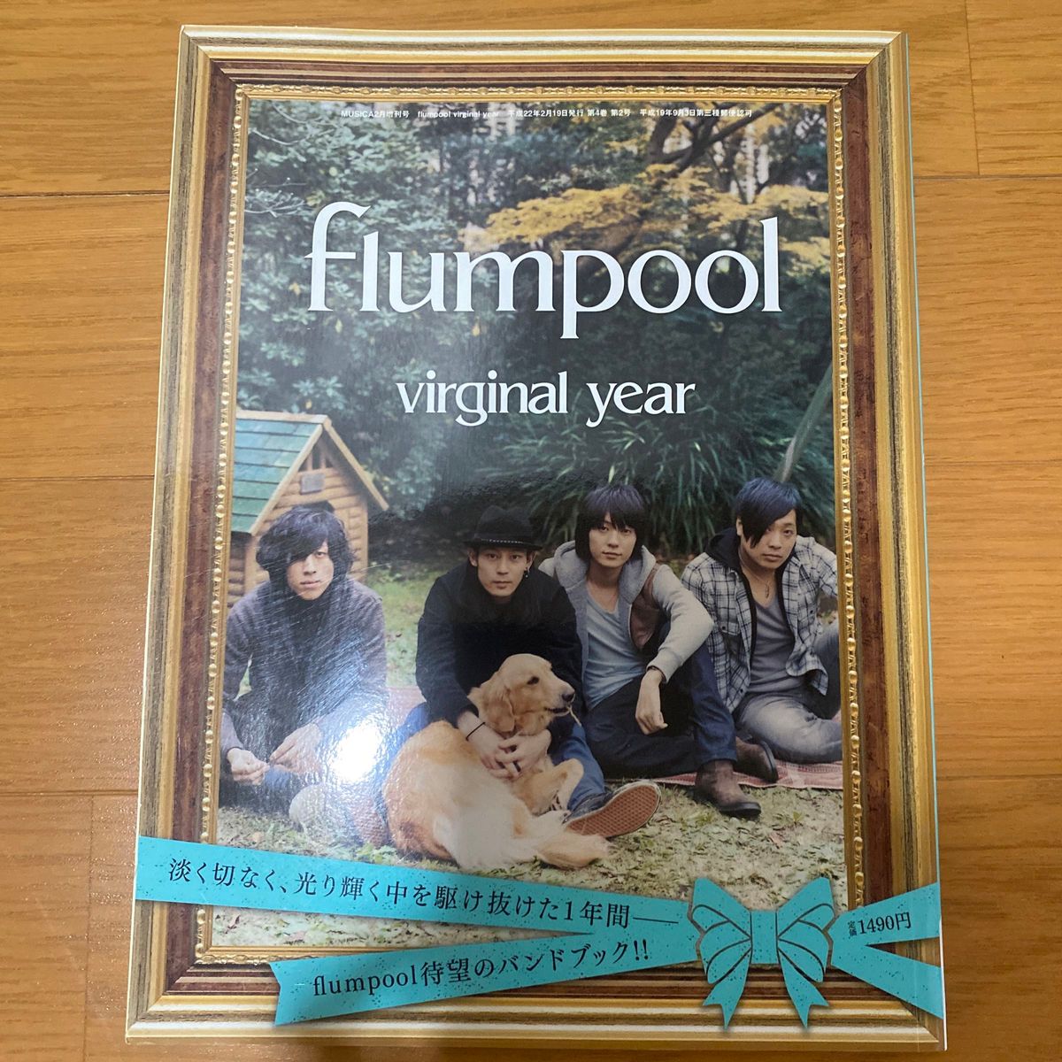 flumpool バンドブック　virginal year