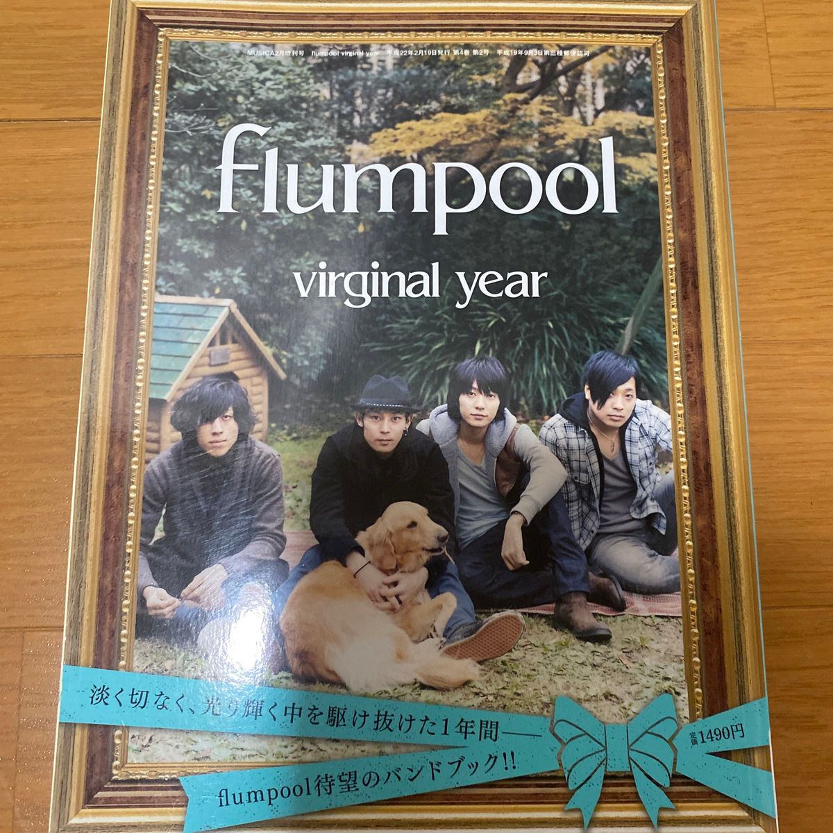 flumpool バンドブック　virginal year