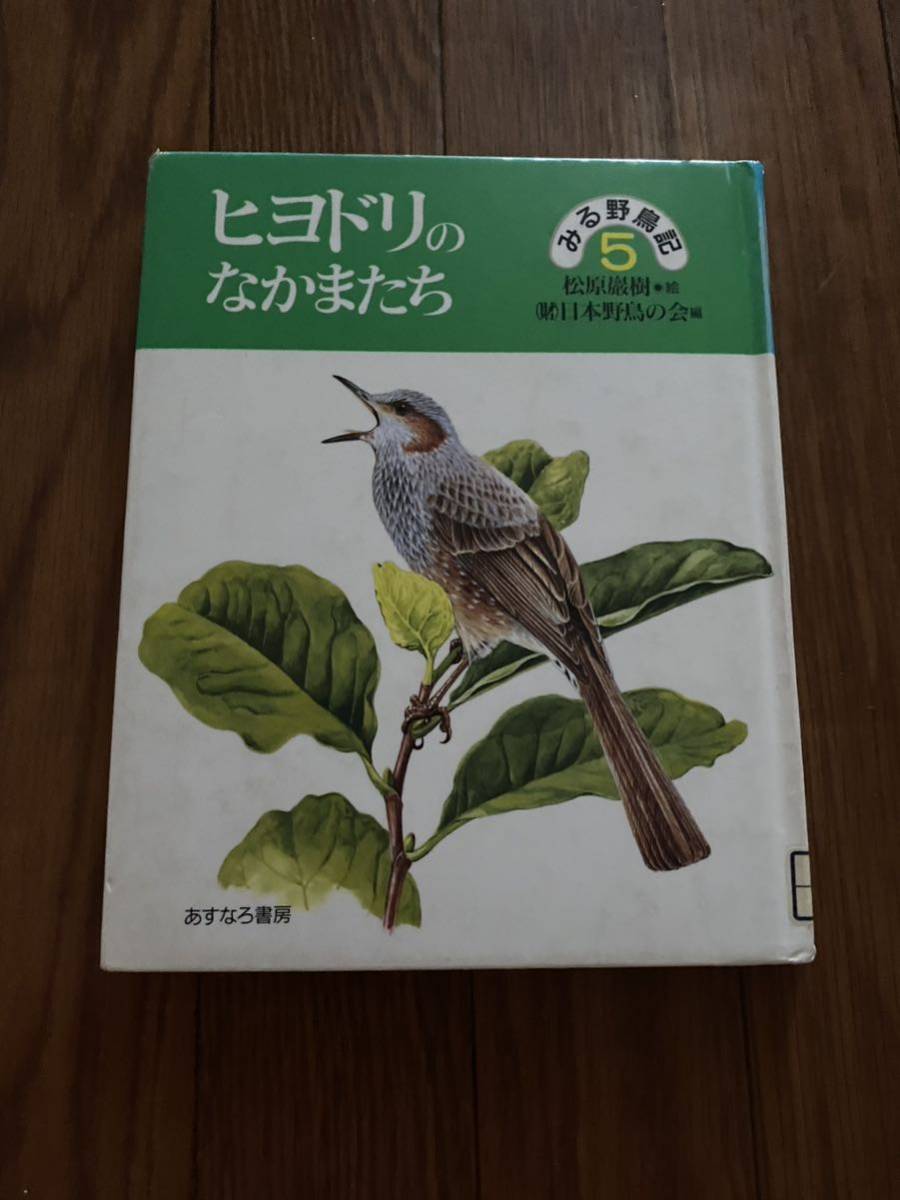 みる野鳥記5 ヒヨドリのなかまたち　あすなろ書房 松原 巌樹　日本野鳥の会　リサイクル資料　除籍本