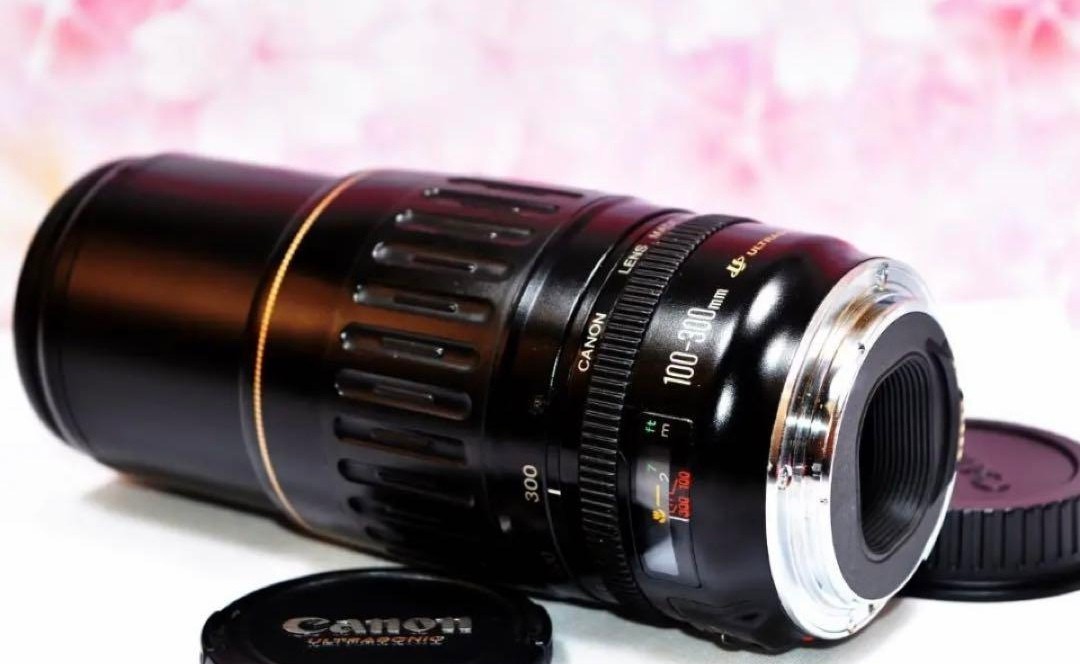 Sản phẩm Canon キヤノン 望遠レンズ 100-300mm 迫力の300㎜！LENS