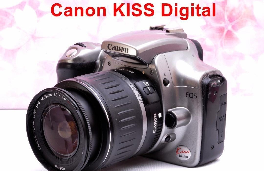 ☆入門用にオススメ☆ Canon EOS Kiss F ☆スマホ転送OK☆-