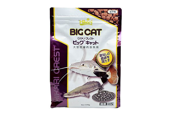 キョーリン　ひかりクレスト　ビッグキャット　５７０g_画像1