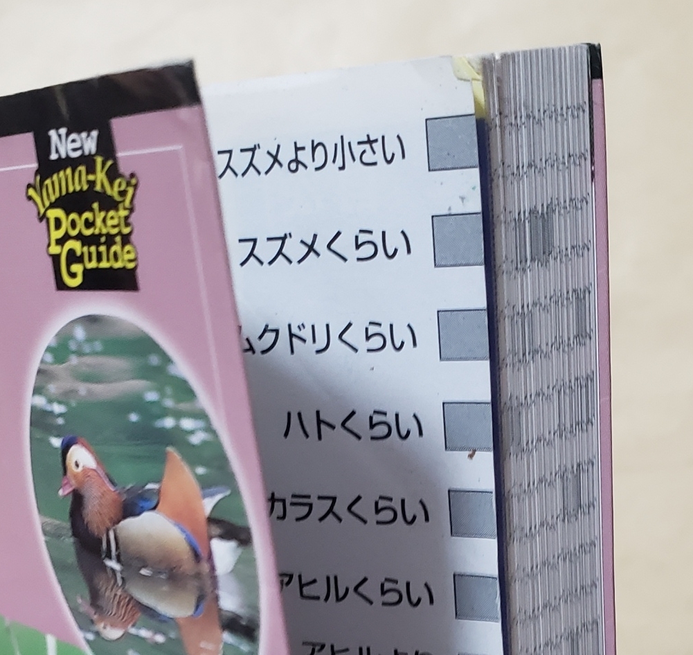 【即決・送料込】書き込みあり 新ヤマケイポケットガイド6 野鳥 改訂版の画像8