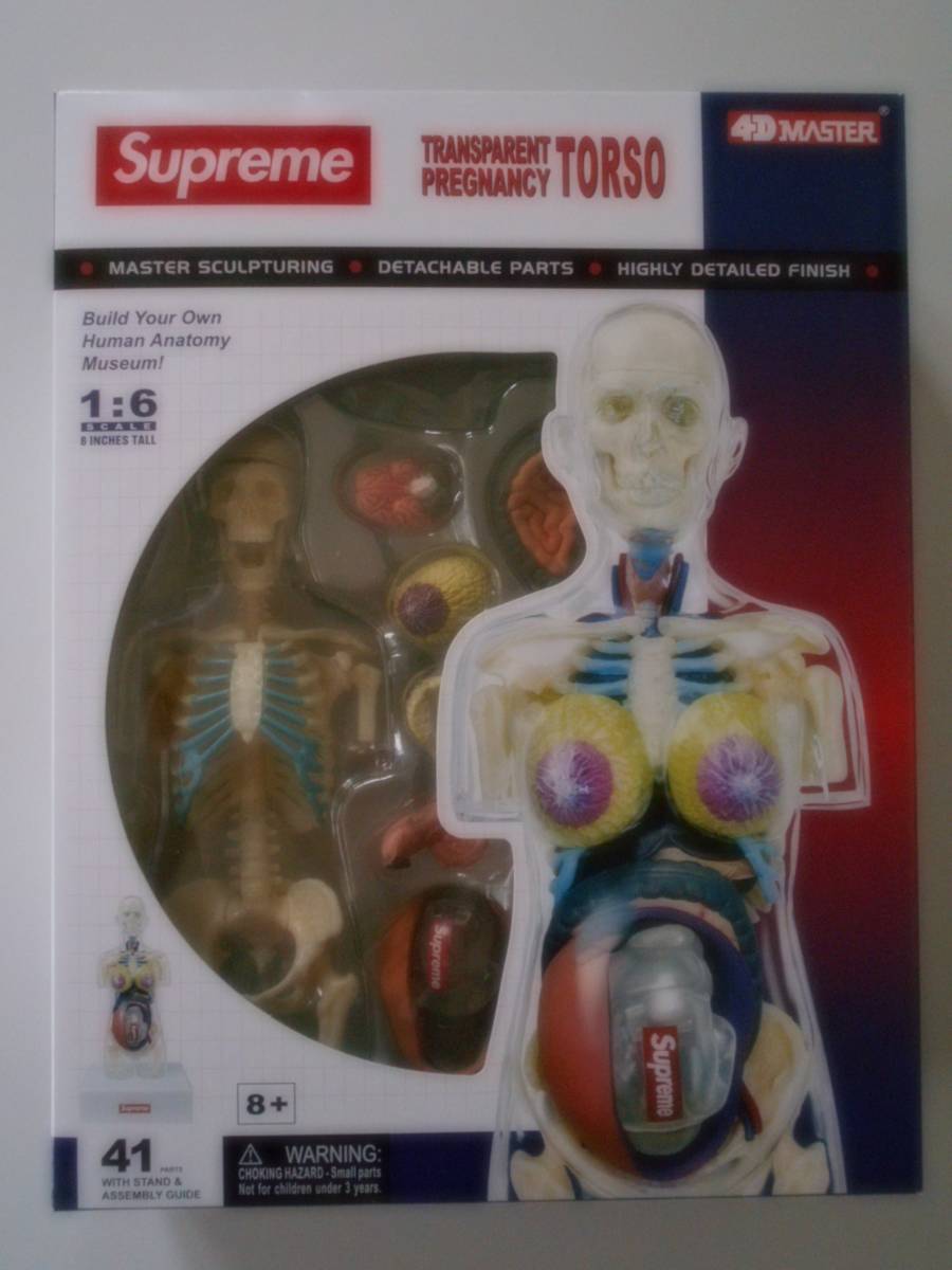 Supreme Female Anatomy Model_画像3