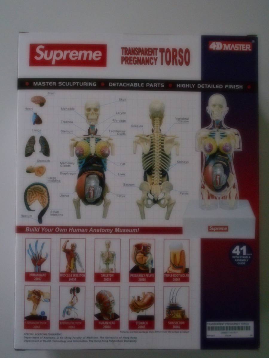 Supreme Female Anatomy Model_画像4
