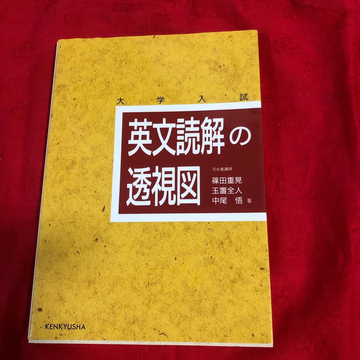 英文読解の透視図 重要分野追加プリント集 篠田重晃先生 玉置全 英文読解の透視図 重要分野追加プリント集 篠田重晃先生 玉置全