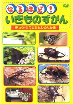 なるほど!いきものずかん チョウ・クワガタムシのなかま レンタル落ち 中古 DVD_画像1