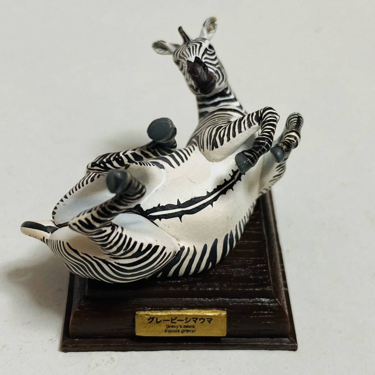 中古品】KITAN CLUB 奇譚クラブ ネイチャーテクニカラー グレービーシマウマ フィギュア - 生き物 中古品】KITAN CLUB 奇譚クラブ ネイチャーテクニカラー グレービーシマウマ フィギュア - 生き物