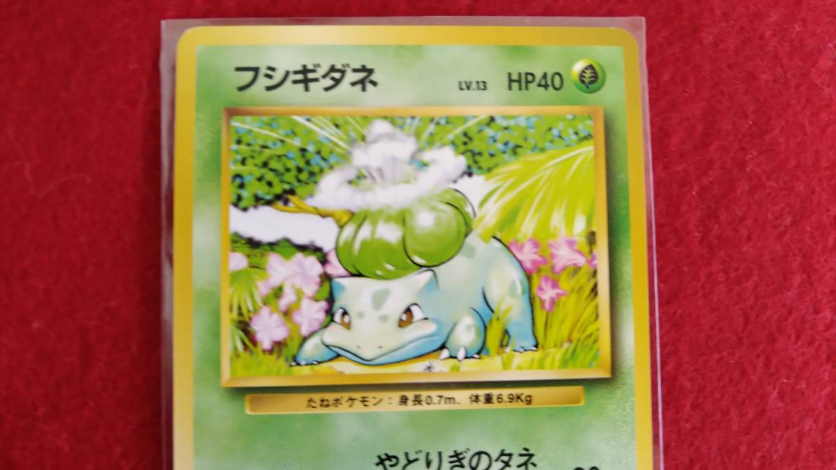 ポケモンカード 旧裏面 フシギダネ LV.13 HP40 マークなし No.001