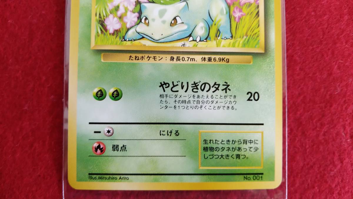 ポケモンカード 旧裏面 フシギダネ LV.13 HP40 マークなし No.001