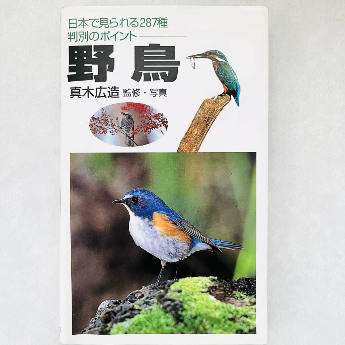 【即決価格】【送料無料】 野鳥 日本で見られる287種判別のポイント　本_画像1