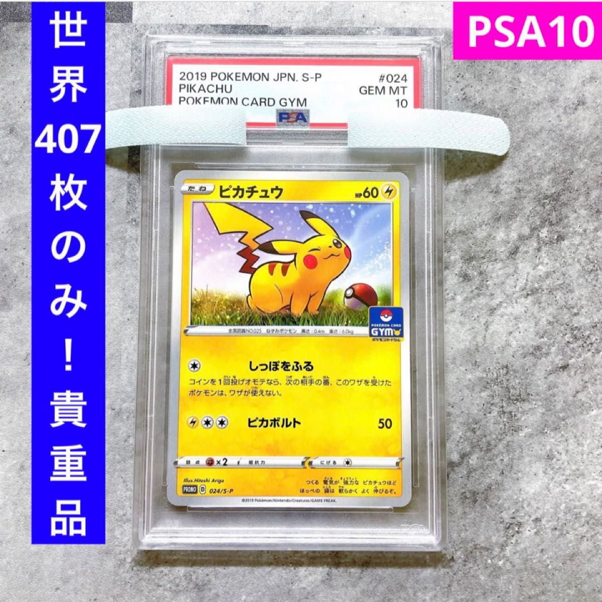 貴重品！世界407枚のみ！ PSA10 ピカチュウ ジム プロモ 024/Ｓ-Ｐ　024 ポケカ ポケモンカード