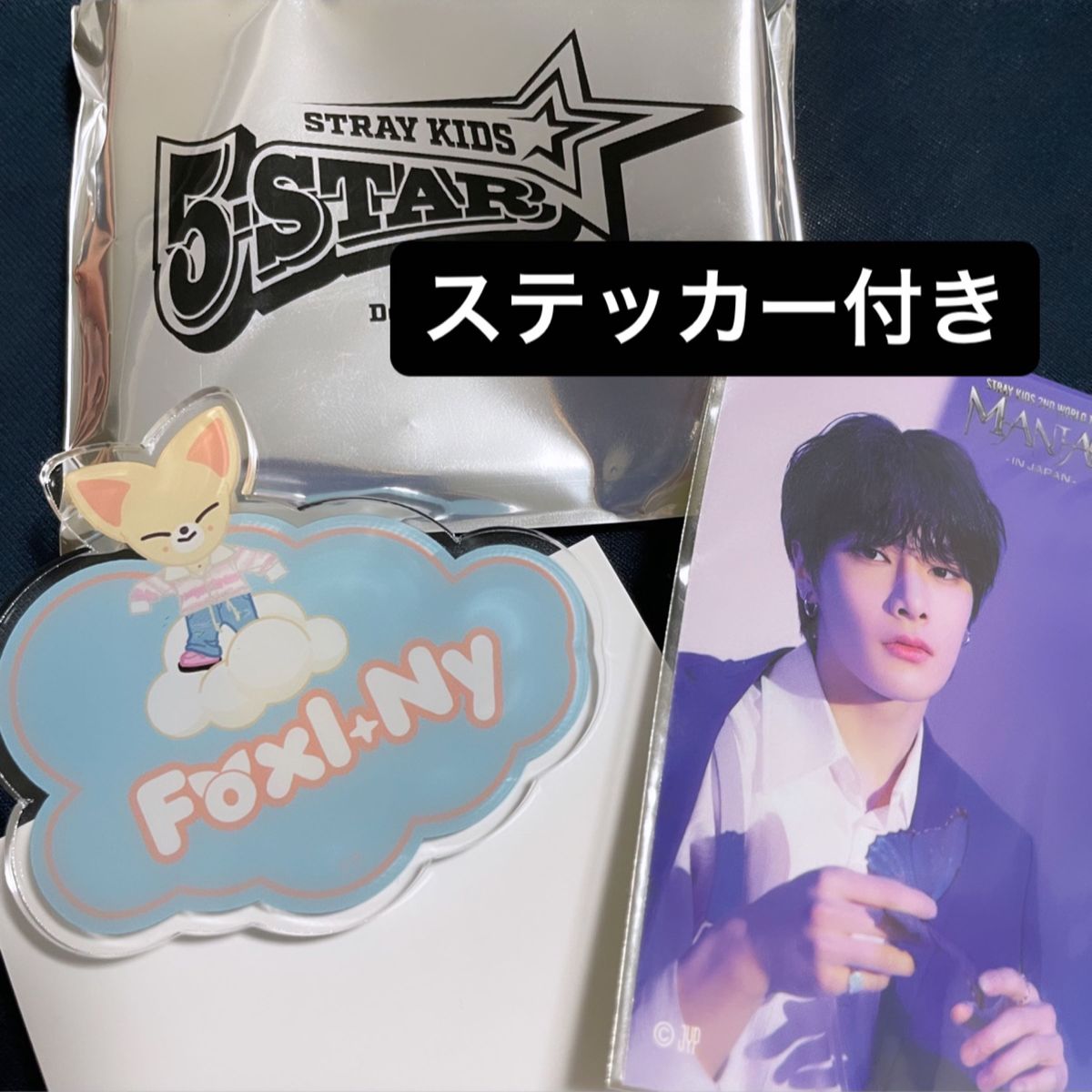 SKZOO ランダムネームバッチ FoxyNy フォクシニー アイエン