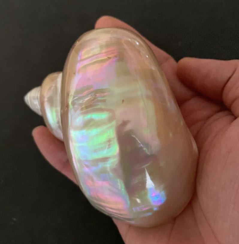  night light . natural shell both sides burnishing limited amount interior lure mother-of-pearl accessory 2