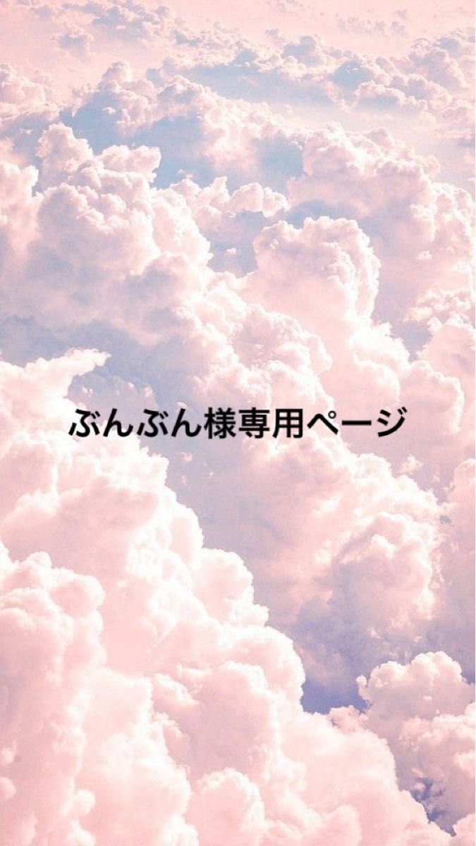ぶんぶん様専用ページ|Yahoo!フリマ(旧PayPayフリマ)