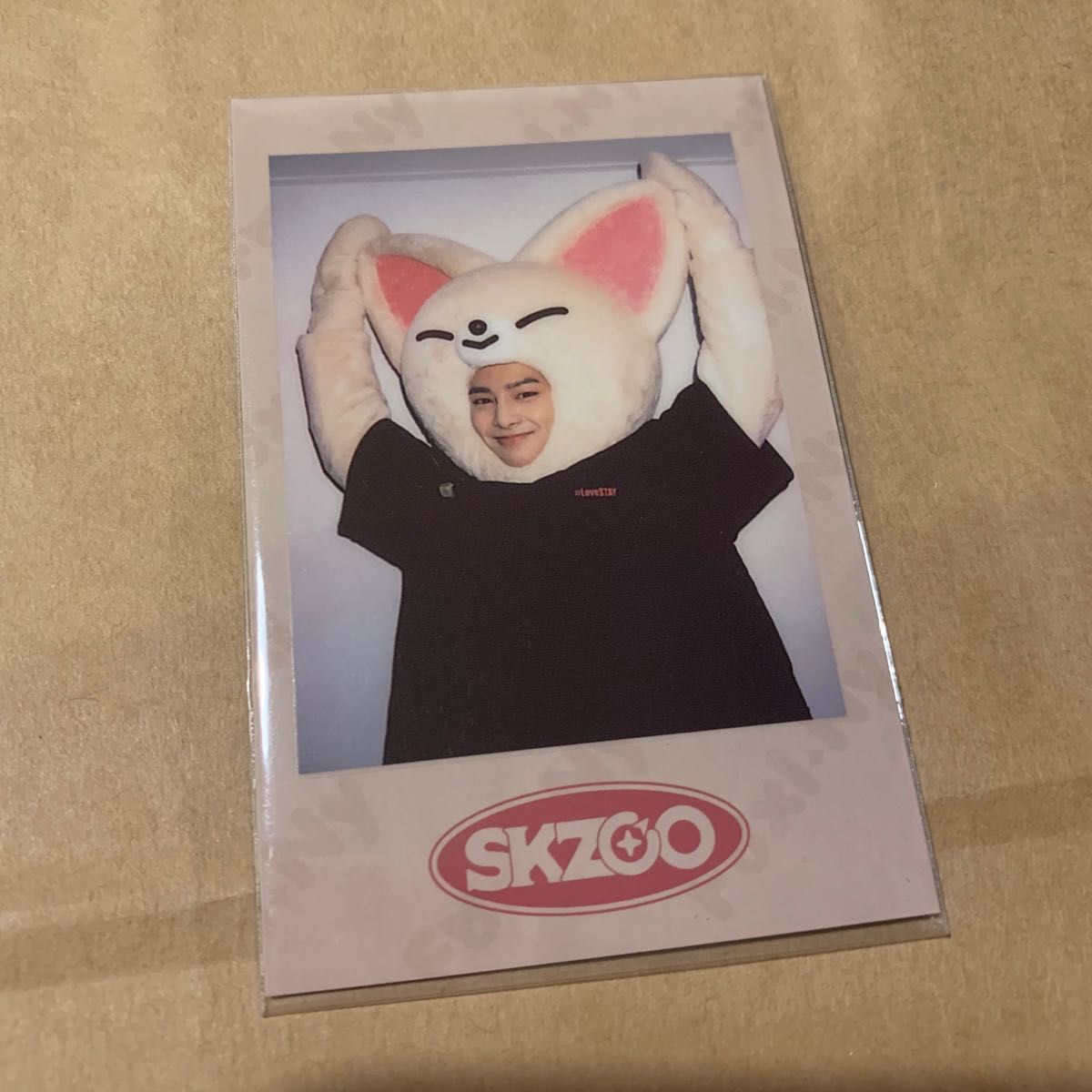 straykids スキズ ファンミーティング ペンミ ポラロイド ポラ straykids スキズ ファンミーティング ペンミ ポラロイド ポラ