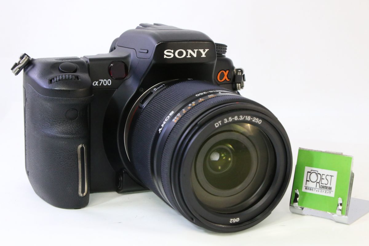 殿堂 【同梱歓迎】難あり?実用□SONY 18-250mm□バッテリー付き